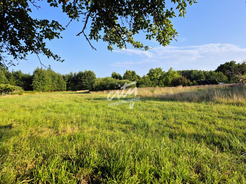 Działka Sprzedaż Niekłończyca 2