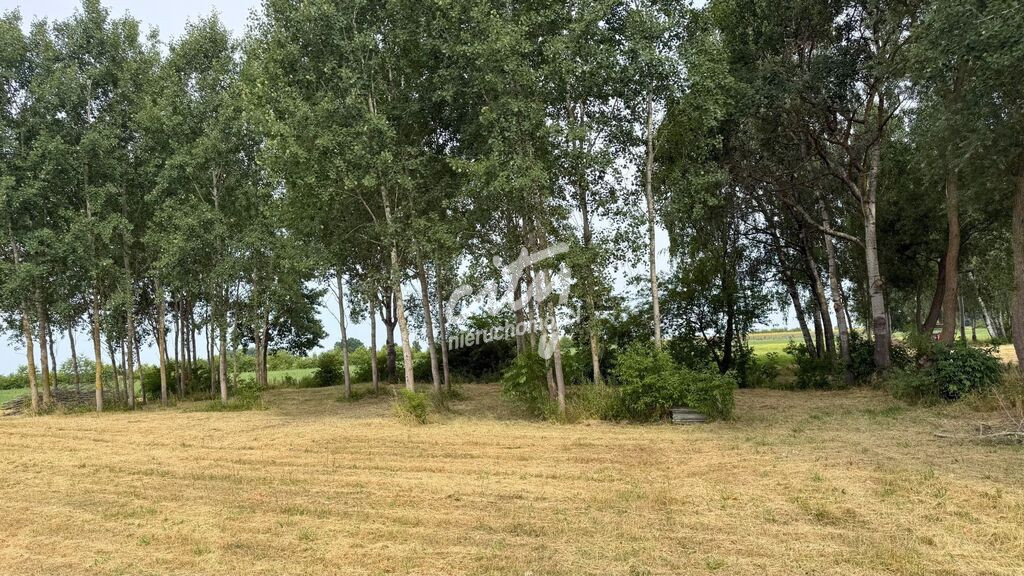 Działka Sprzedaż Marszewo 3