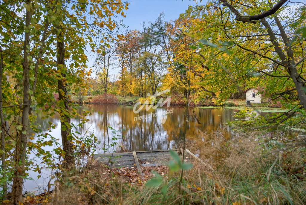 Mieszkanie Sprzedaż Miłogoszcz 12