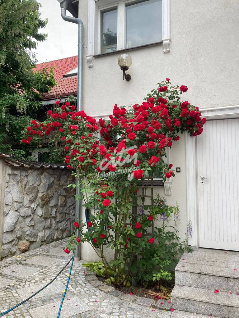 Dom Sprzedaż Wolin 34
