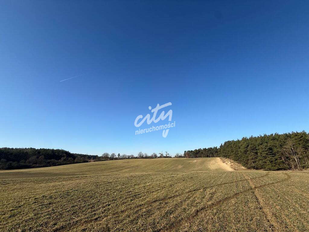 Działka Sprzedaż Buk 1