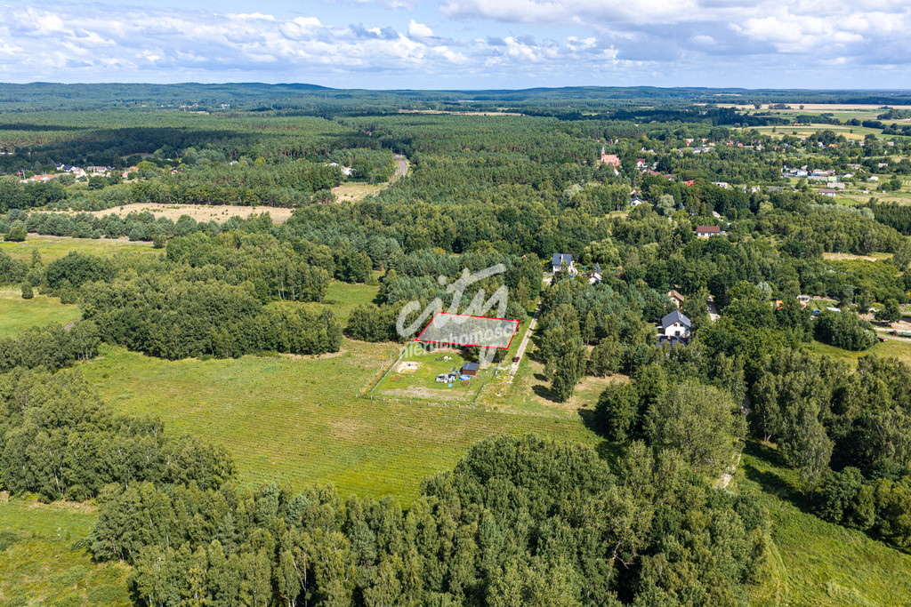 Działka Sprzedaż Ładzin 1