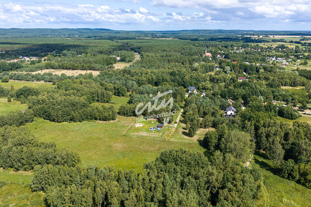 Działka Sprzedaż Ładzin 2