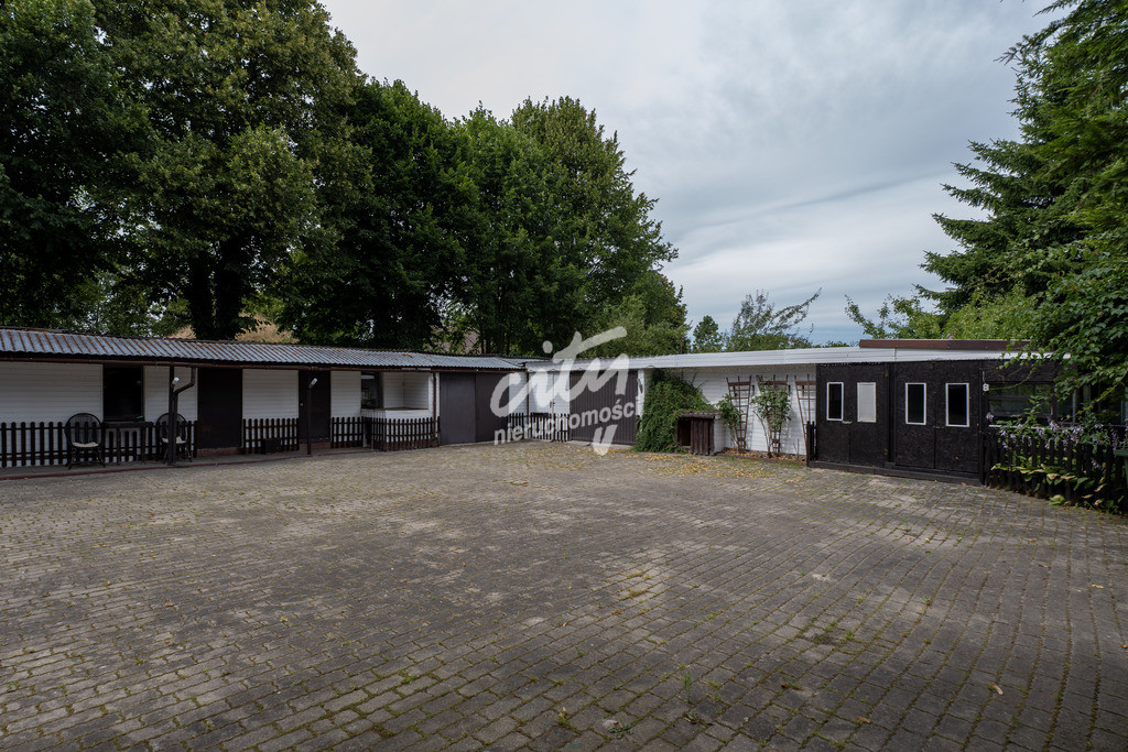Dom Sprzedaż Czarna Łąka 87