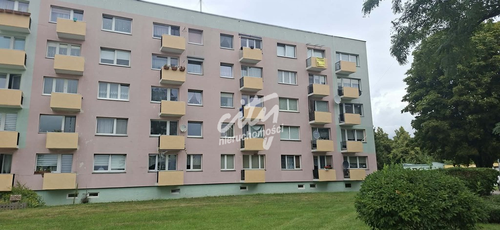 Mieszkanie Sprzedaż Police Zygmunta Wróblewskiego 12