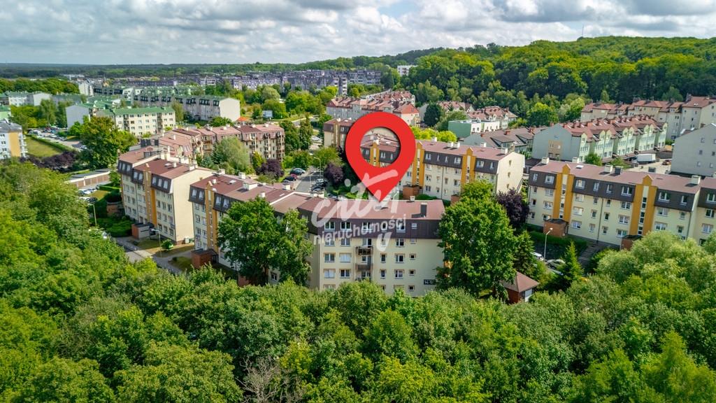 Mieszkanie Wynajem Szczecin os. Bukowe Zielone Wzgórze 18