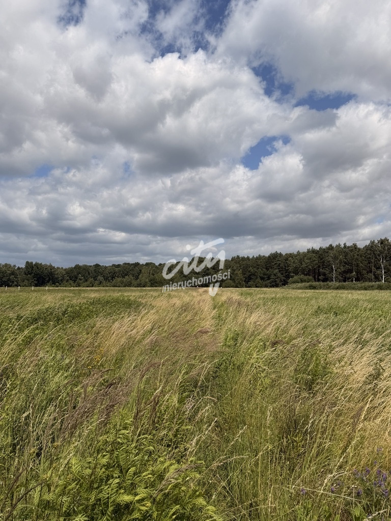 Działka Sprzedaż Niedźwiedź 6
