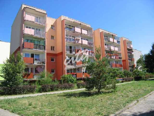 Mieszkanie Wynajem Szczecin Pomorzany Inowrocławska 11