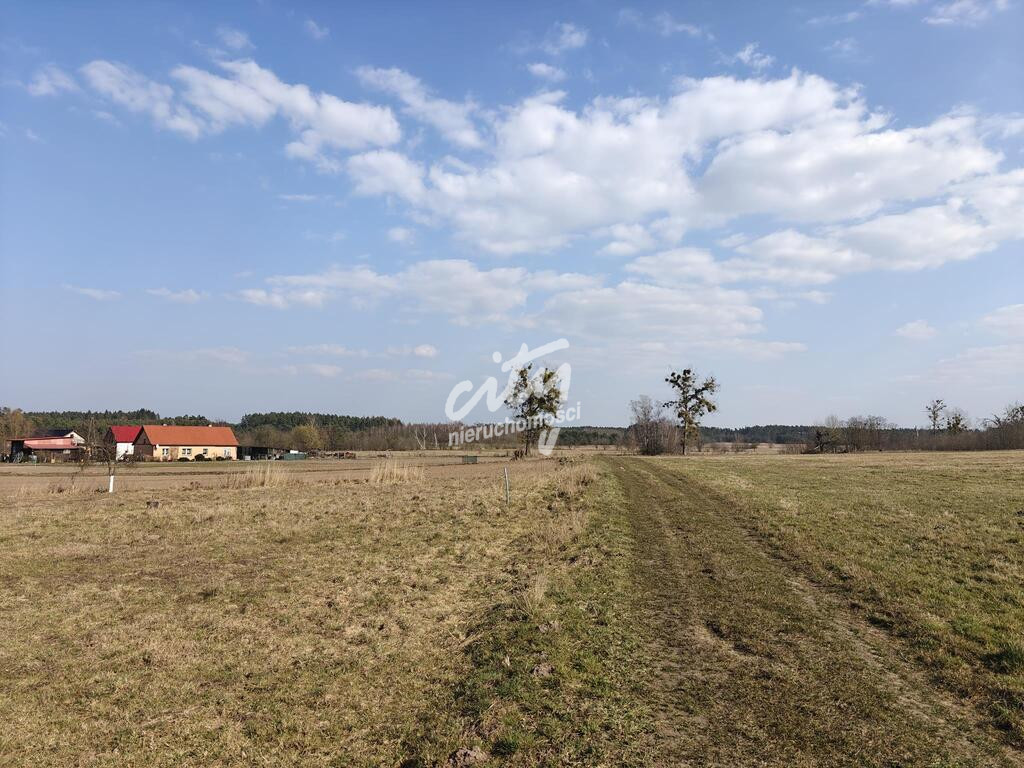 Działka Sprzedaż Żarnowo 2