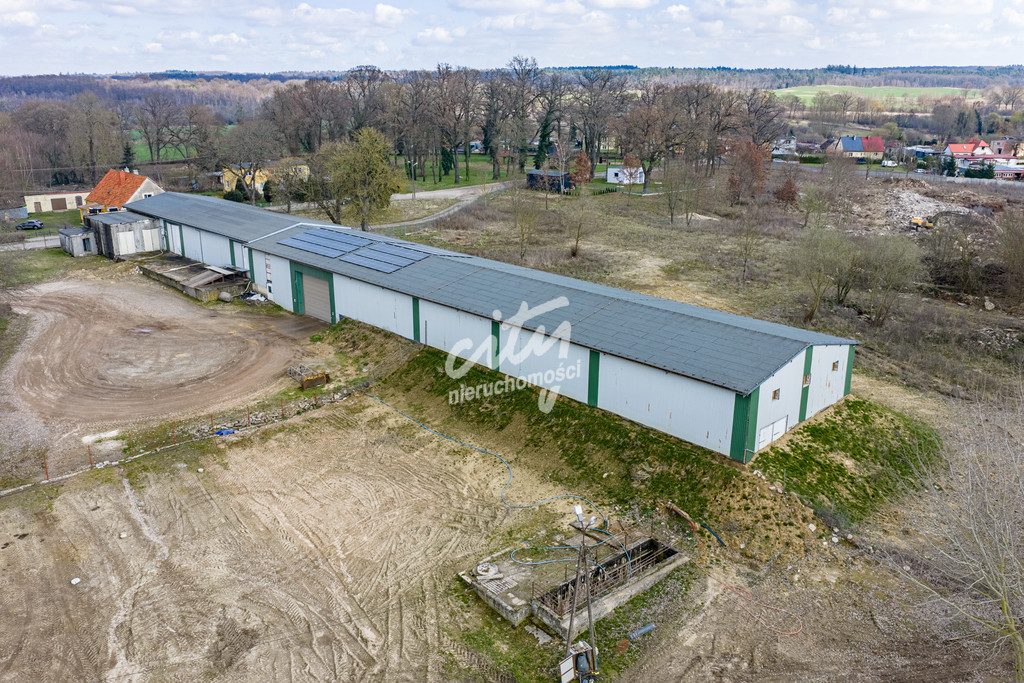 Magazyn Sprzedaż Piaseczno 10