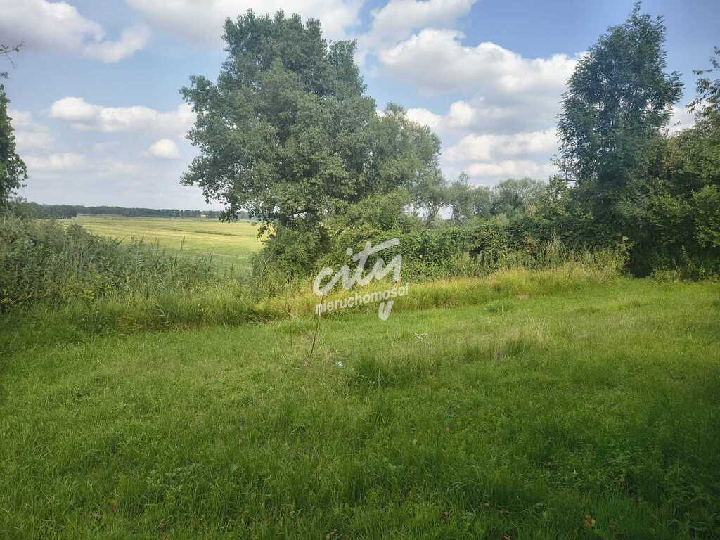 Mieszkanie Sprzedaż Witkowo Pierwsze 14