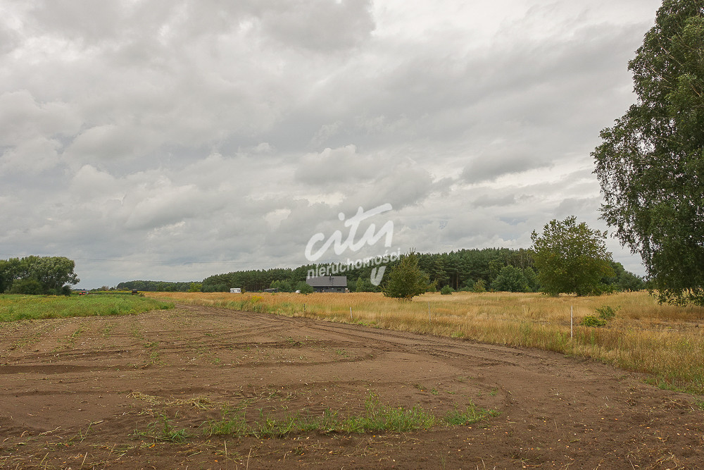 Działka Sprzedaż Lubczyna Kasztanowa 14