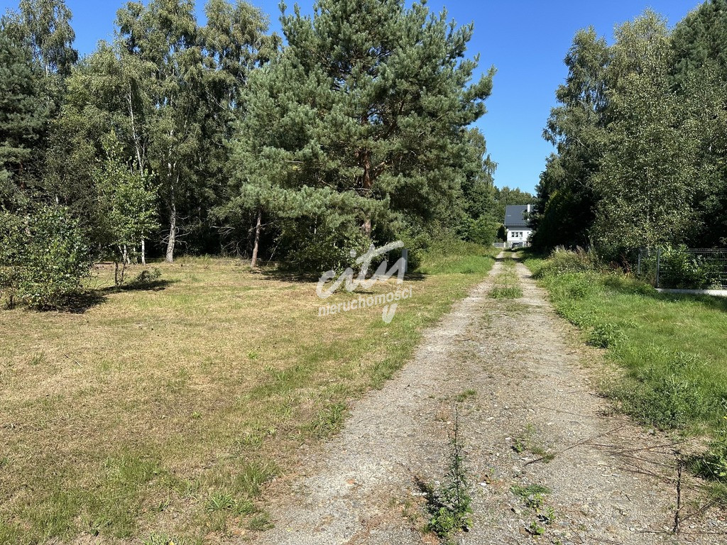 Działka Sprzedaż Ładzin 4