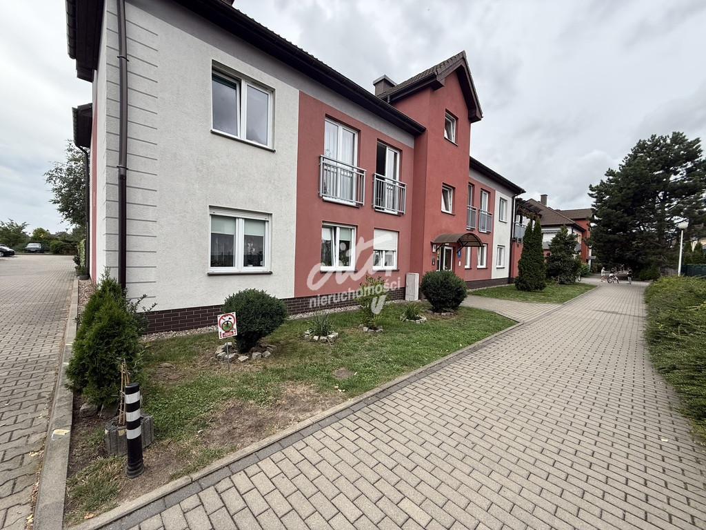 Mieszkanie Wynajem Warzymice Dębowa 1