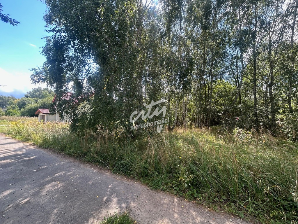 Działka Sprzedaż Dołuje 3