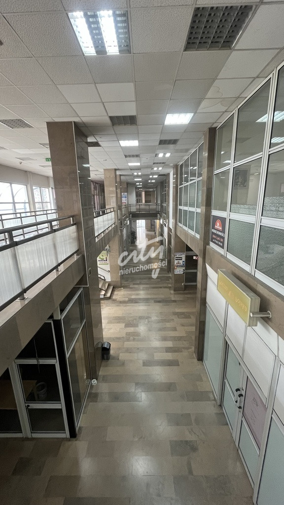 Lokal Sprzedaż Szczecin Centrum 13