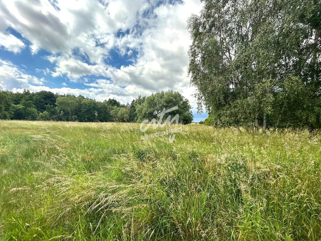 Działka Sprzedaż Nowe Warpno 2