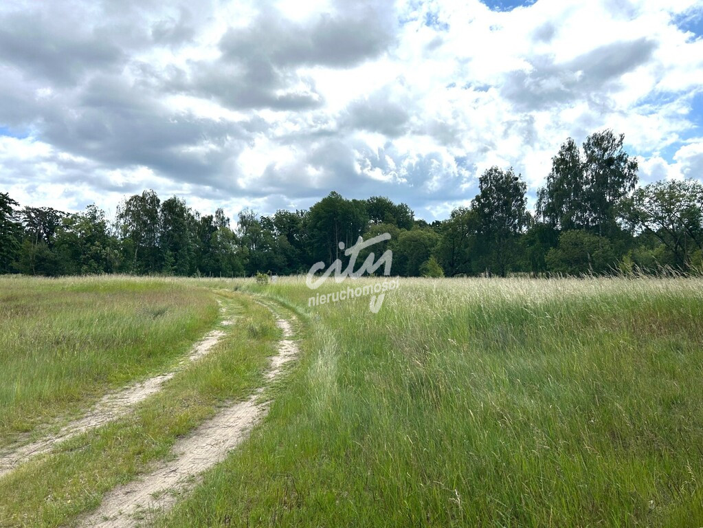 Działka Sprzedaż Nowe Warpno 5