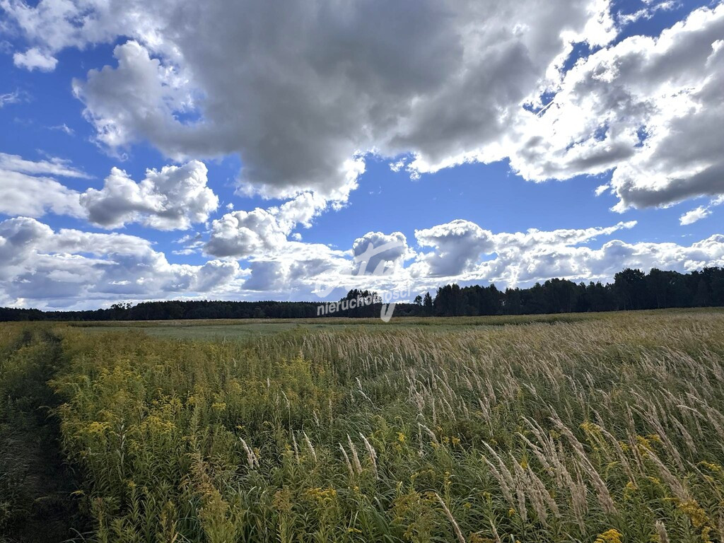 Działka Sprzedaż Żółwia Błoć 1