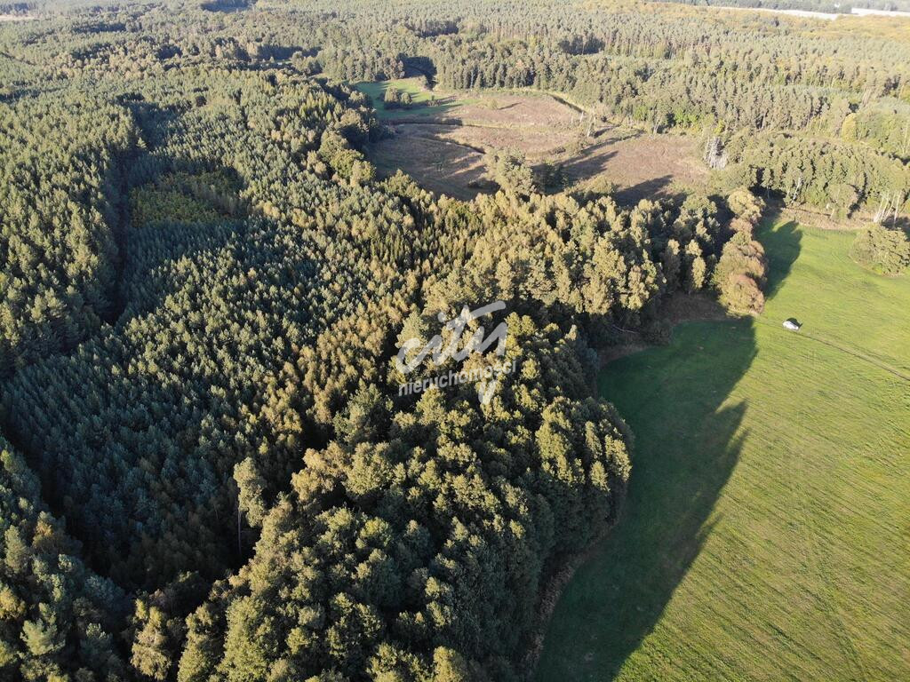 Działka Sprzedaż Goleniów 6