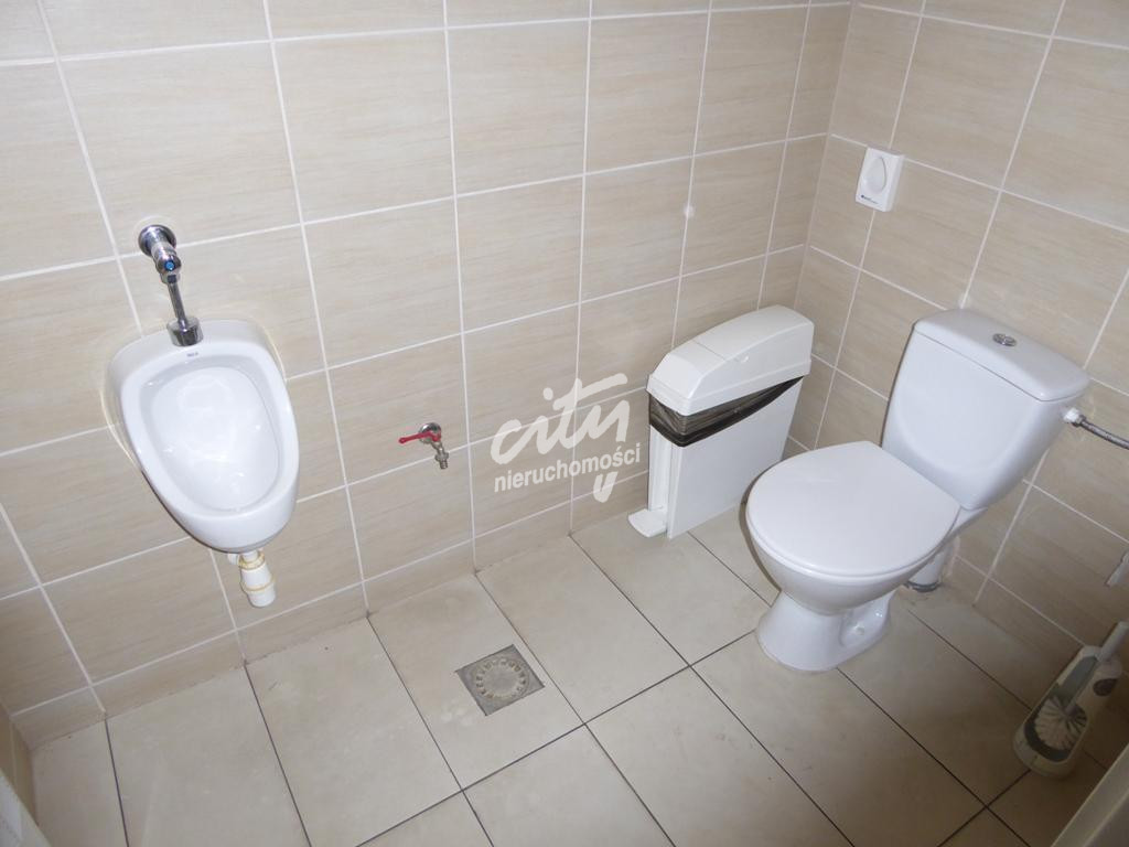 Lokal Wynajem Szczecin Centrum 18