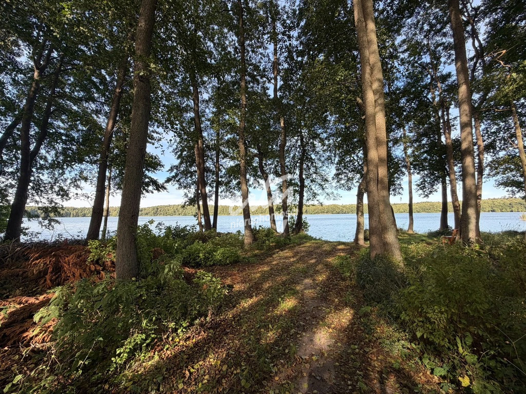 Działka Sprzedaż Myślibórz Wielki 8
