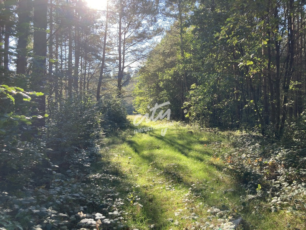 Działka Sprzedaż Krzepocin 5