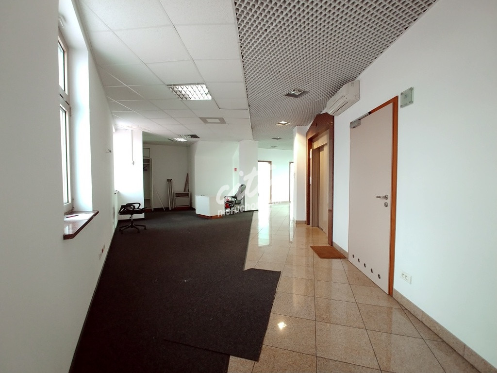 Lokal Wynajem Szczecin Centrum 6