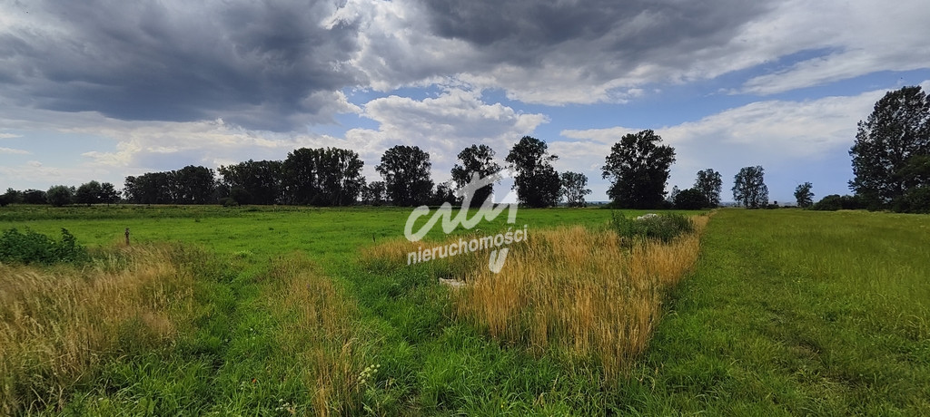 Działka Sprzedaż Rurzyca 2