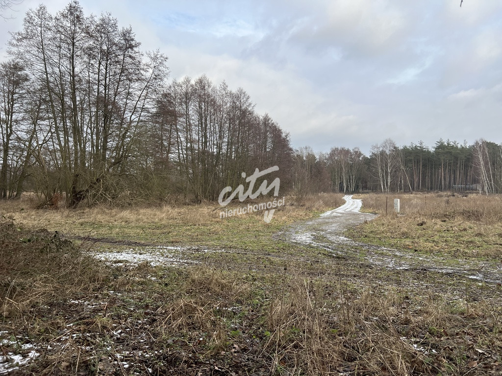 Działka Sprzedaż Brzózki 8