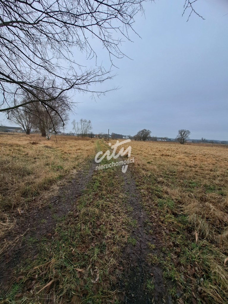 Działka Sprzedaż Dobra Hebanowa 15