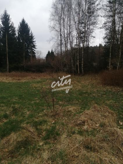 Działka Sprzedaż Stawno