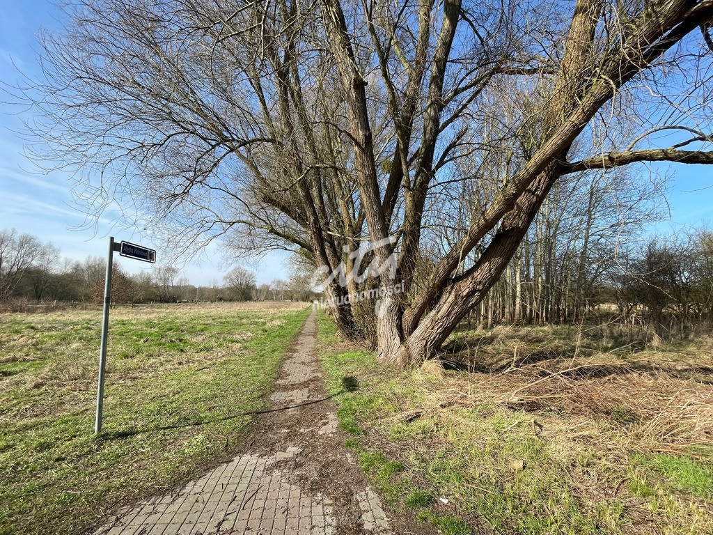 Działka Sprzedaż Trzebież 5