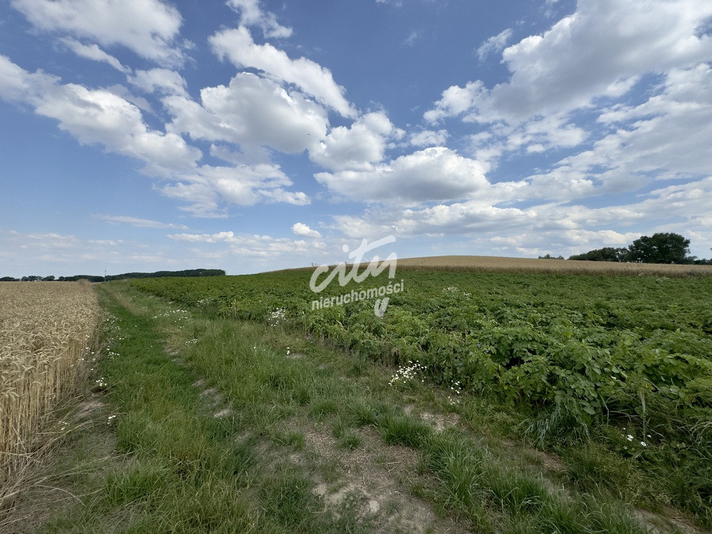 Działka Sprzedaż Bielice 1