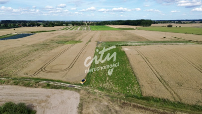 Działka Sprzedaż Bielice