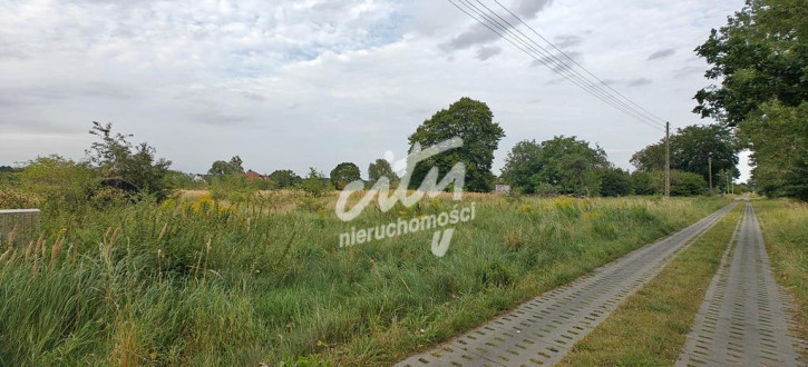 Działka Sprzedaż Białuń 4