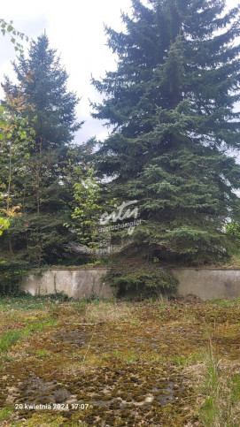 Działka Sprzedaż Recz Kolejowa 1