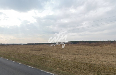 Działka Sprzedaż Skórka