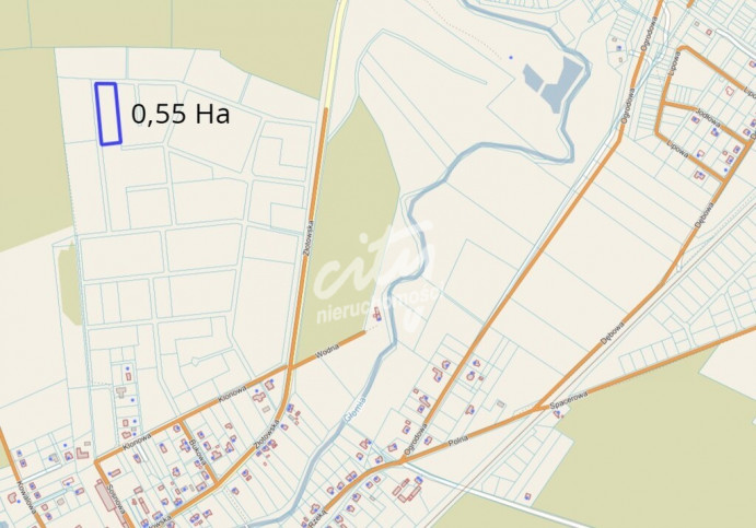 Działka Sprzedaż Skórka 6