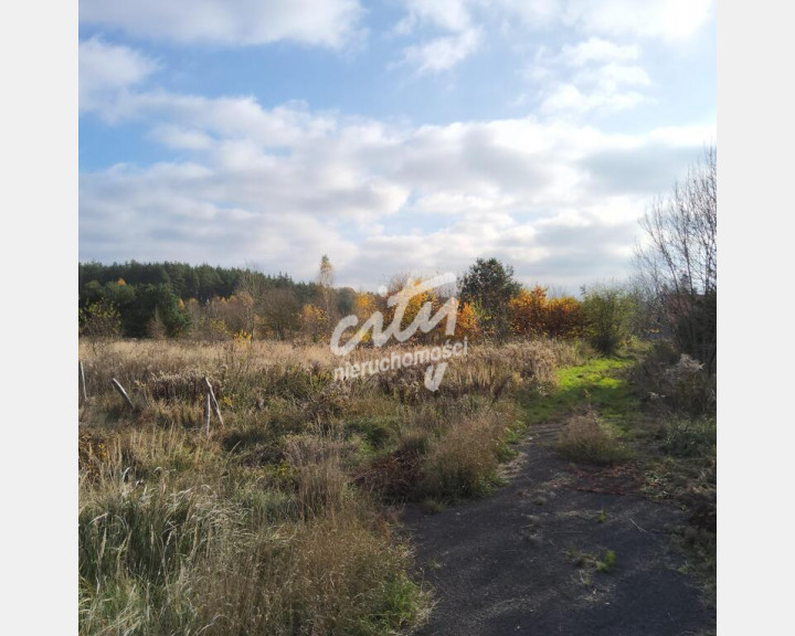 Działka Sprzedaż Szczecin Płonia