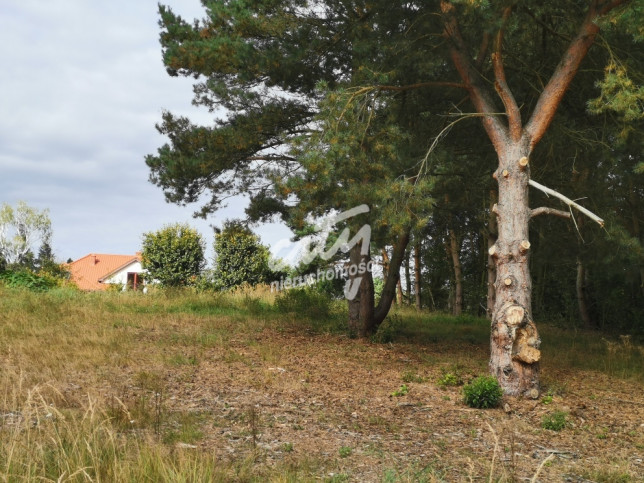 Działka Sprzedaż Szczecin Jezierzyce 7