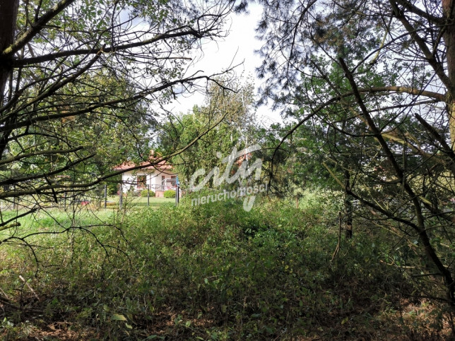 Działka Sprzedaż Szczecin Jezierzyce 9