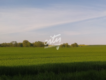 Działka Sprzedaż Recz