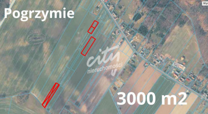 Działka Sprzedaż Pogrzymie