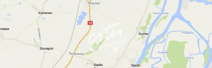 Działka Sprzedaż Kurów 3