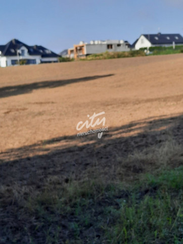Działka Sprzedaż Kurów 5