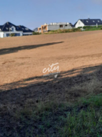 Działka Sprzedaż Kurów