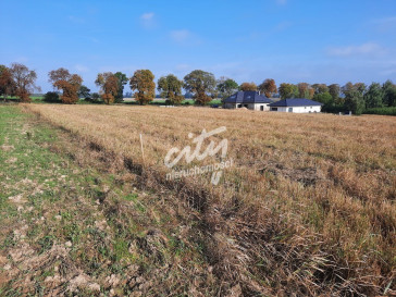 Działka Sprzedaż Kurów