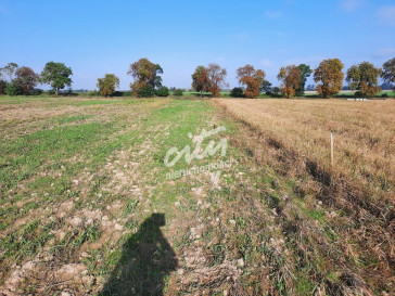 Działka Sprzedaż Kurów