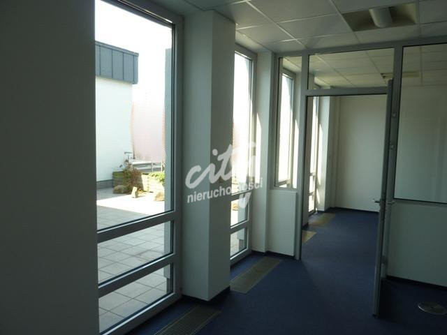 Lokal Wynajem Szczecin Centrum 10